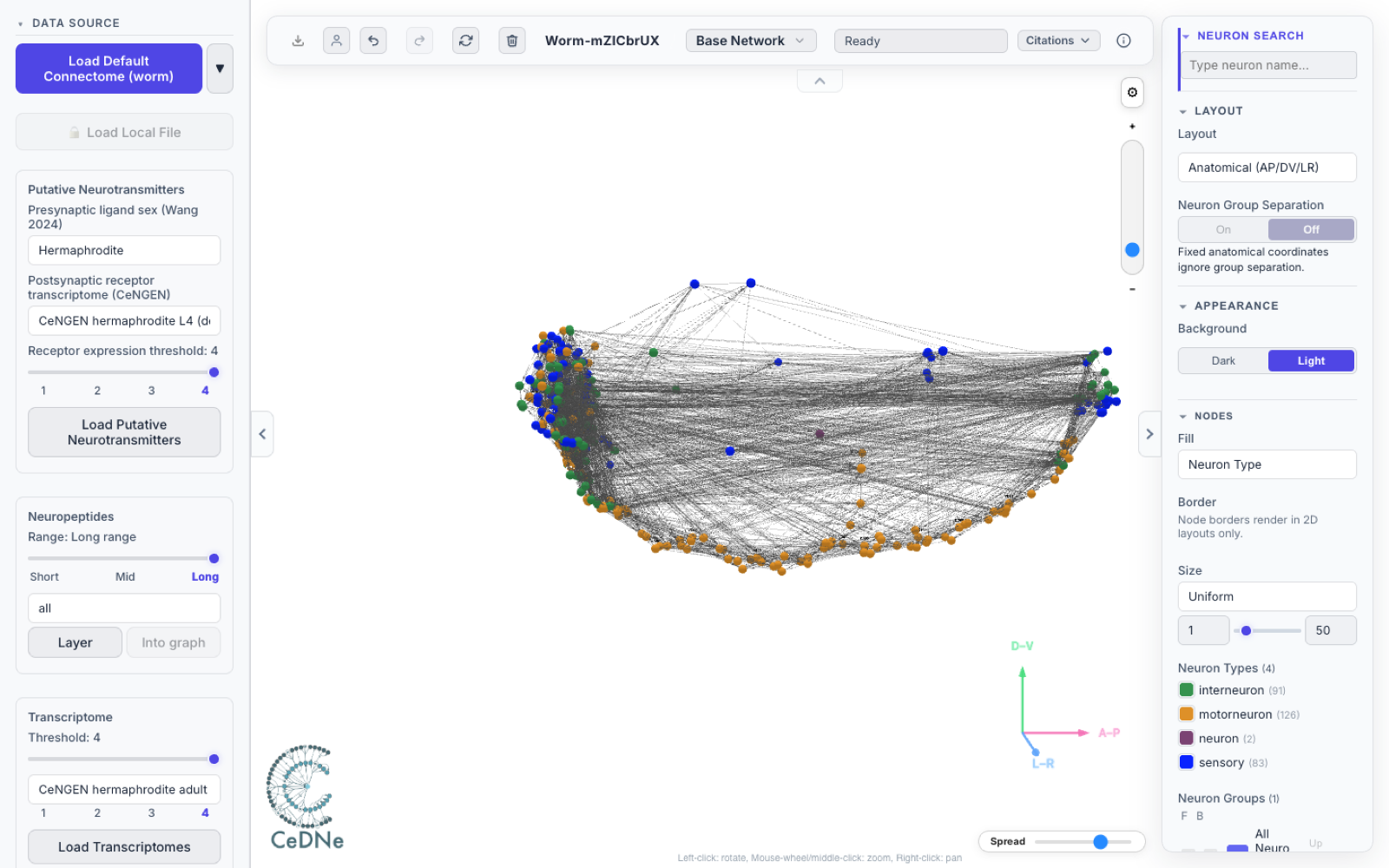 The CeDNe web workbench: a 3D graph of the connectome with data-source and analysis panels