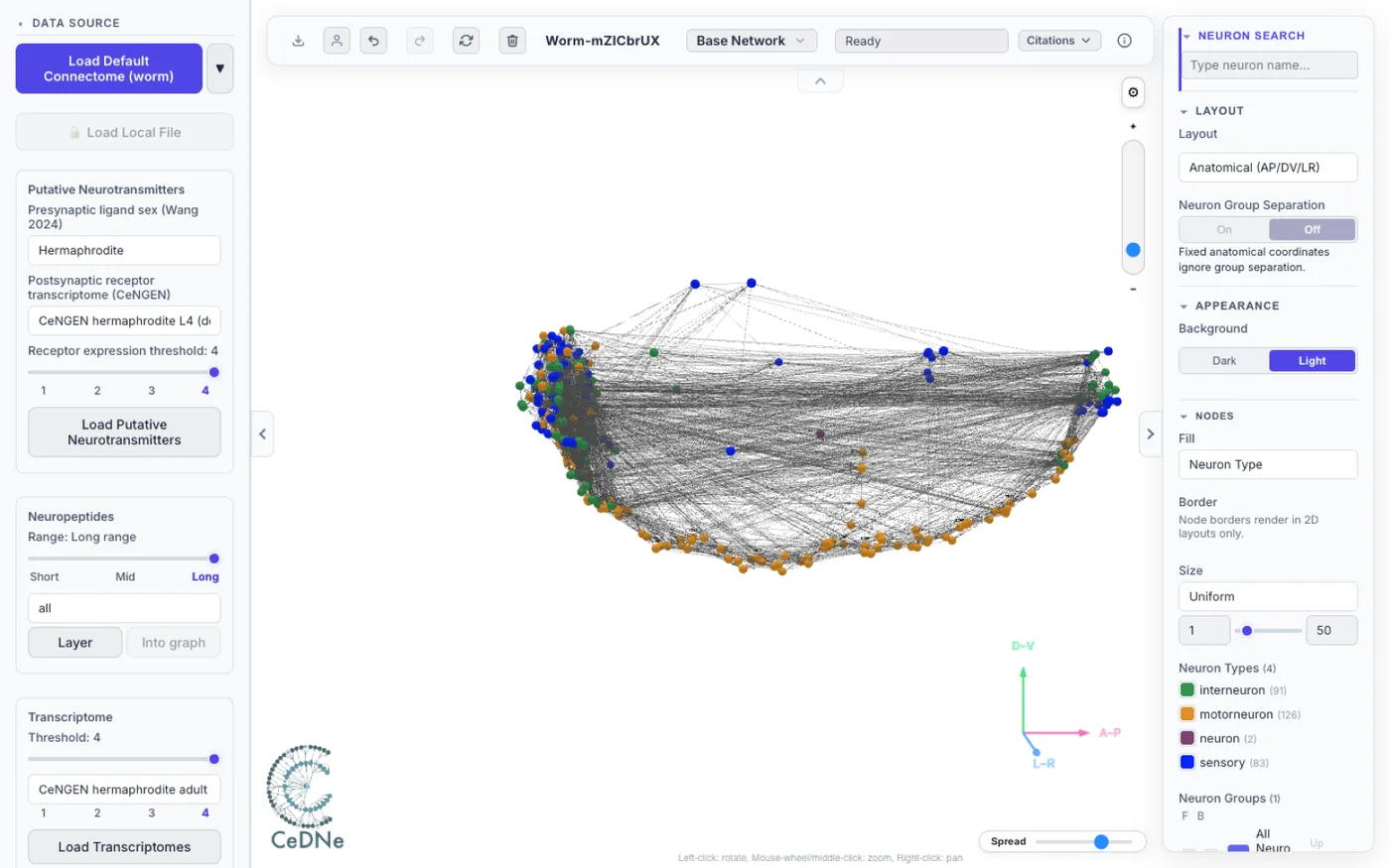 The CeDNe web workbench: a 3D graph of the connectome with data-source and analysis panels